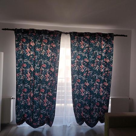 Casa Brianna Apartment Брашов Екстериор снимка